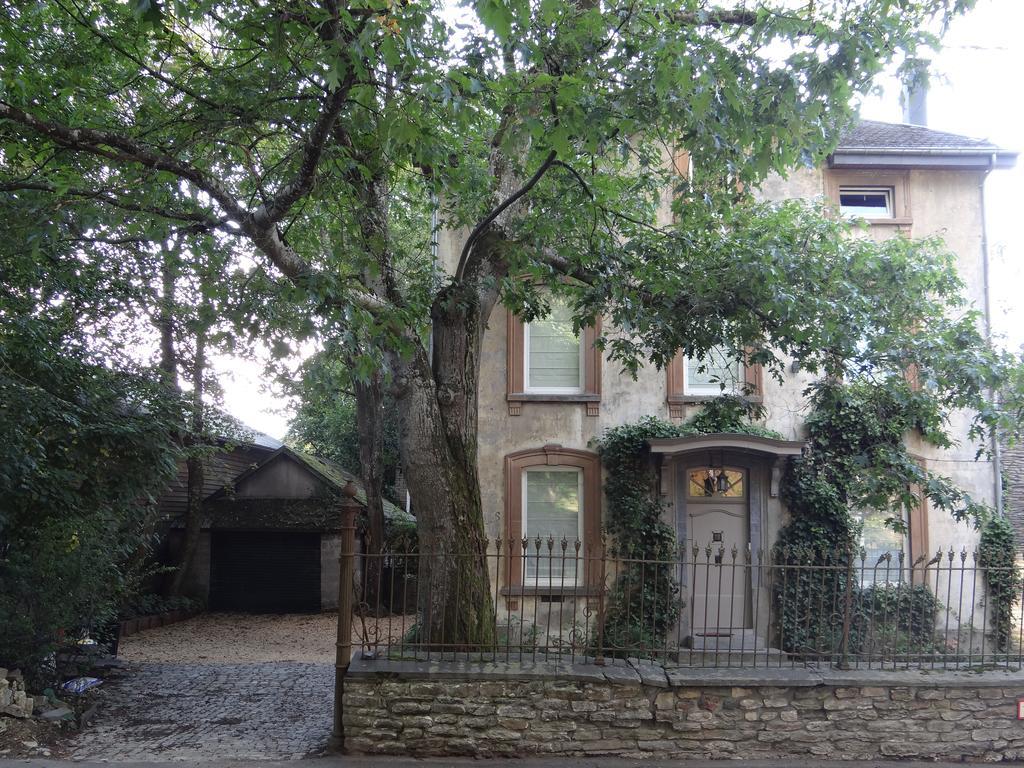 B&B Les Tilleuls Vielsalm Εξωτερικό φωτογραφία
