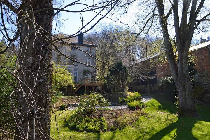 B&B Les Tilleuls Vielsalm Εξωτερικό φωτογραφία