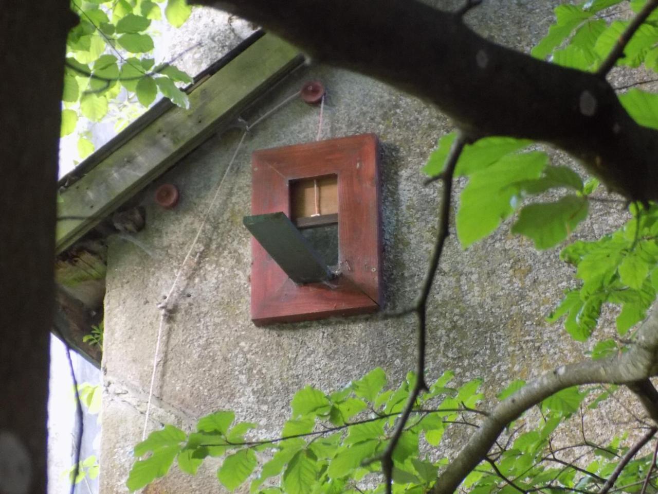 B&B Les Tilleuls Vielsalm Εξωτερικό φωτογραφία